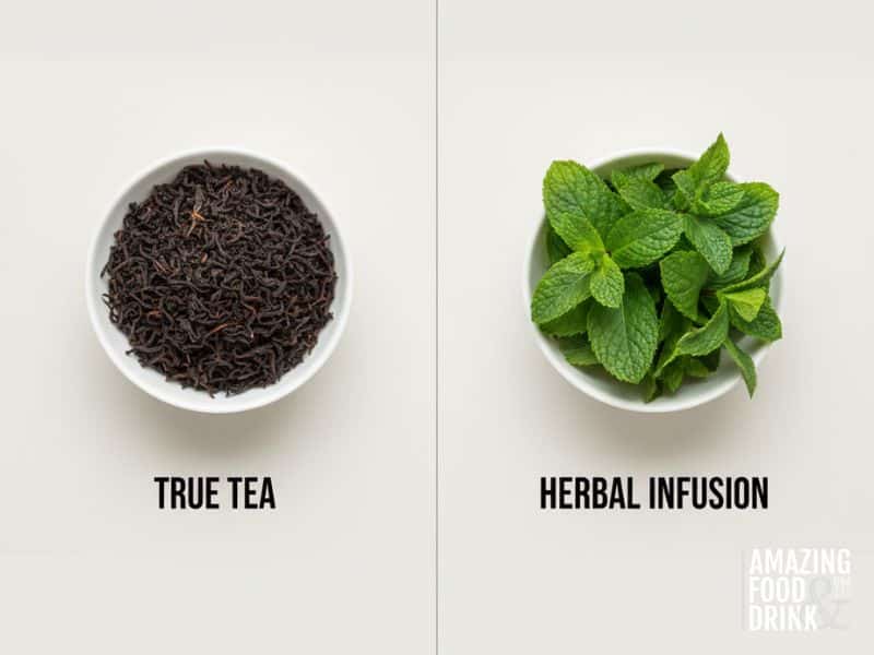 25+ Amazing Essential Facts About Tea: Health Guide