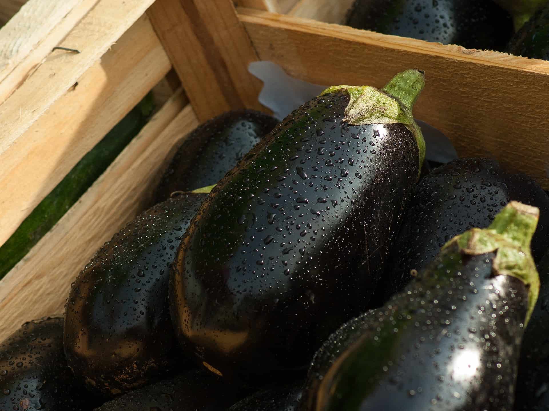 How to Cook Eggplant the Egyptian Way 