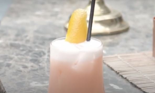 How to make a Blood Orange Gin Sour