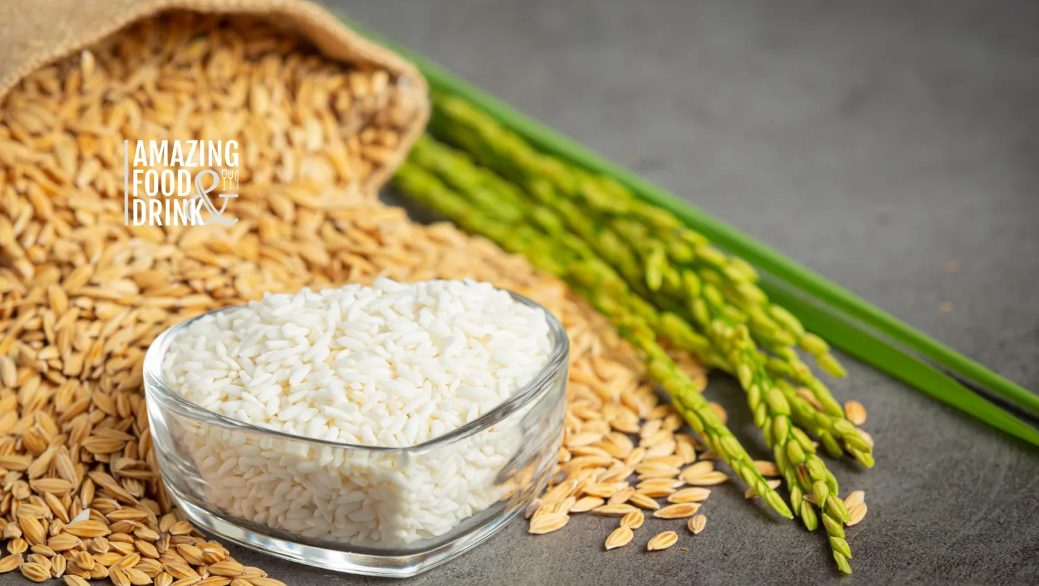 Rice Allergy Food to Avoid: 12 Fabulous Alternatives