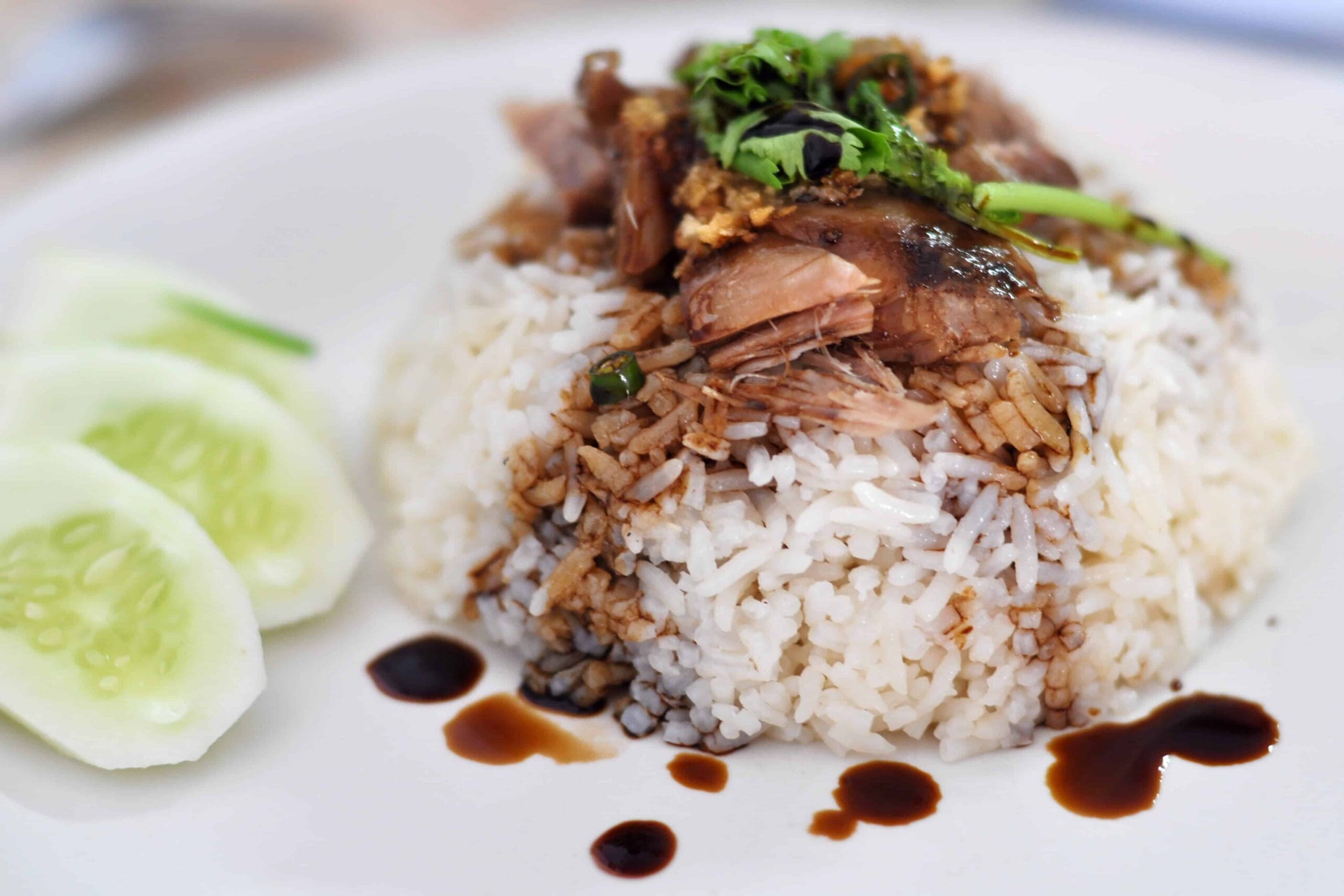 Rice with Duck min 1024x683