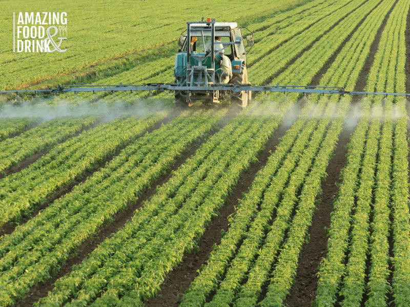 the Hydroponic System