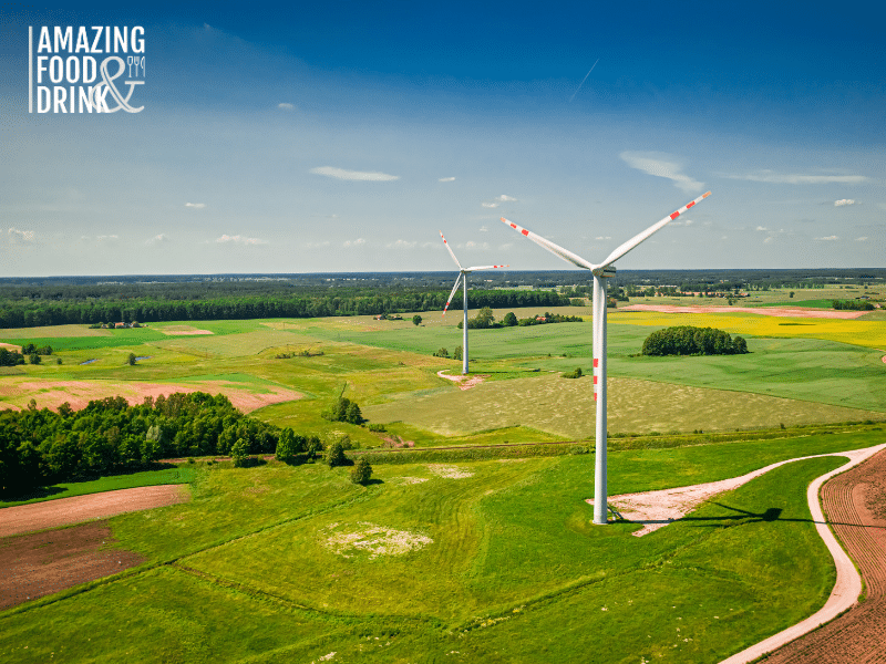 the Hydroponic System