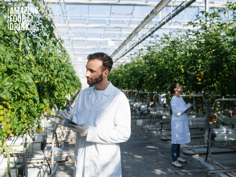 the Hydroponic System