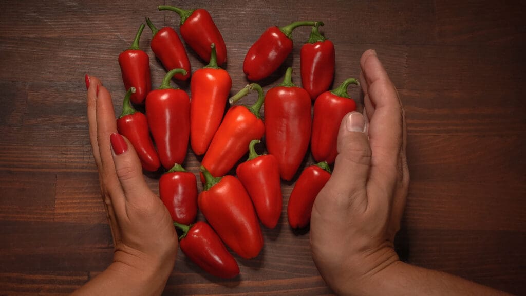 Male And Female Hand Holding Forming Shape Of Chillies Or Peppers And Capsicums Or Bell Peppers Sweet Bell Paprika Cayenne Chilli Hungarian Wax Pepper Isolated On Wooden Table Background