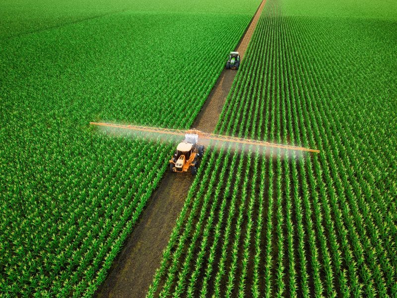 The Importance of Biodiversity in Agriculture