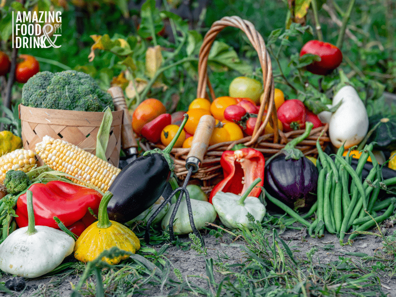 The Role of Food Forests in Sustainable Agriculture