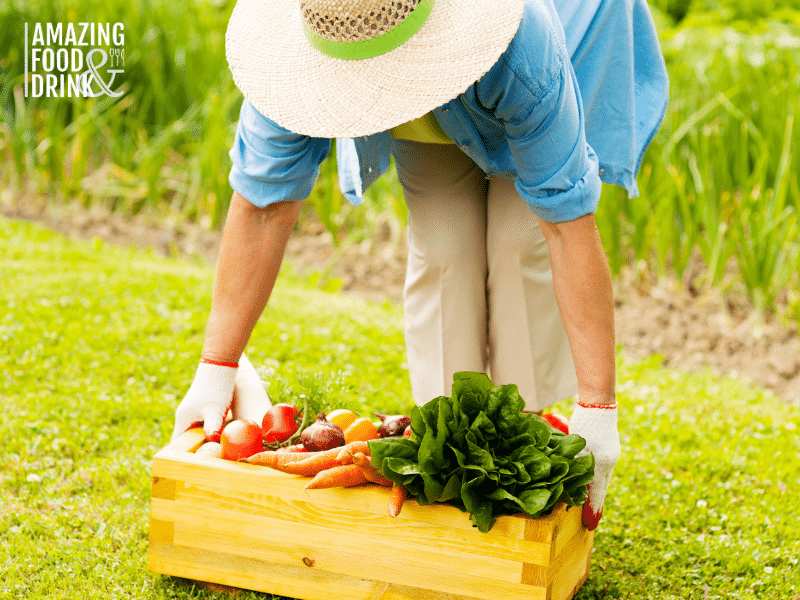 The Role Of Food Forests In Sustainable Agriculture