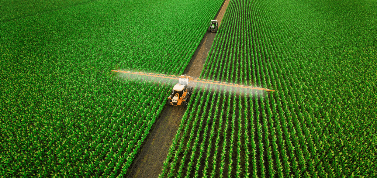 The Importance of Biodiversity in Agriculture