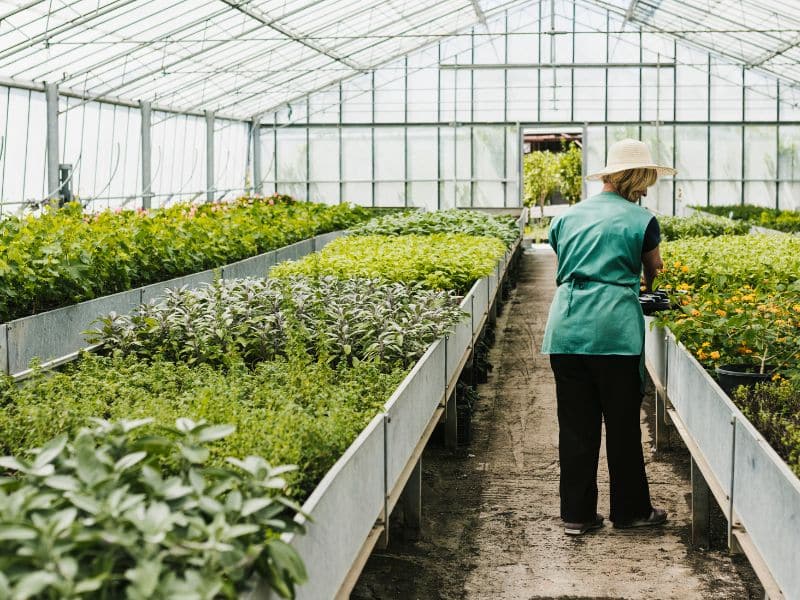 Meet the Farmers: Sustainable Farming Practices