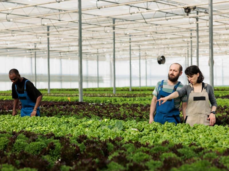 Meet the Farmers: Sustainable Farming Practices