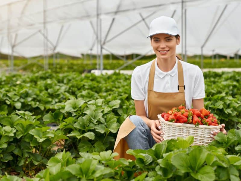 Meet the Farmers: Sustainable Farming Practices