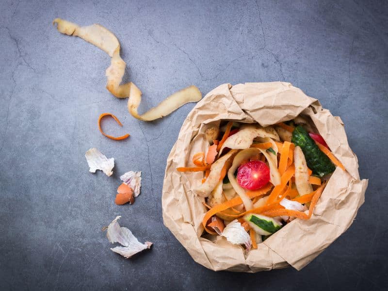 Zero-Waste Food