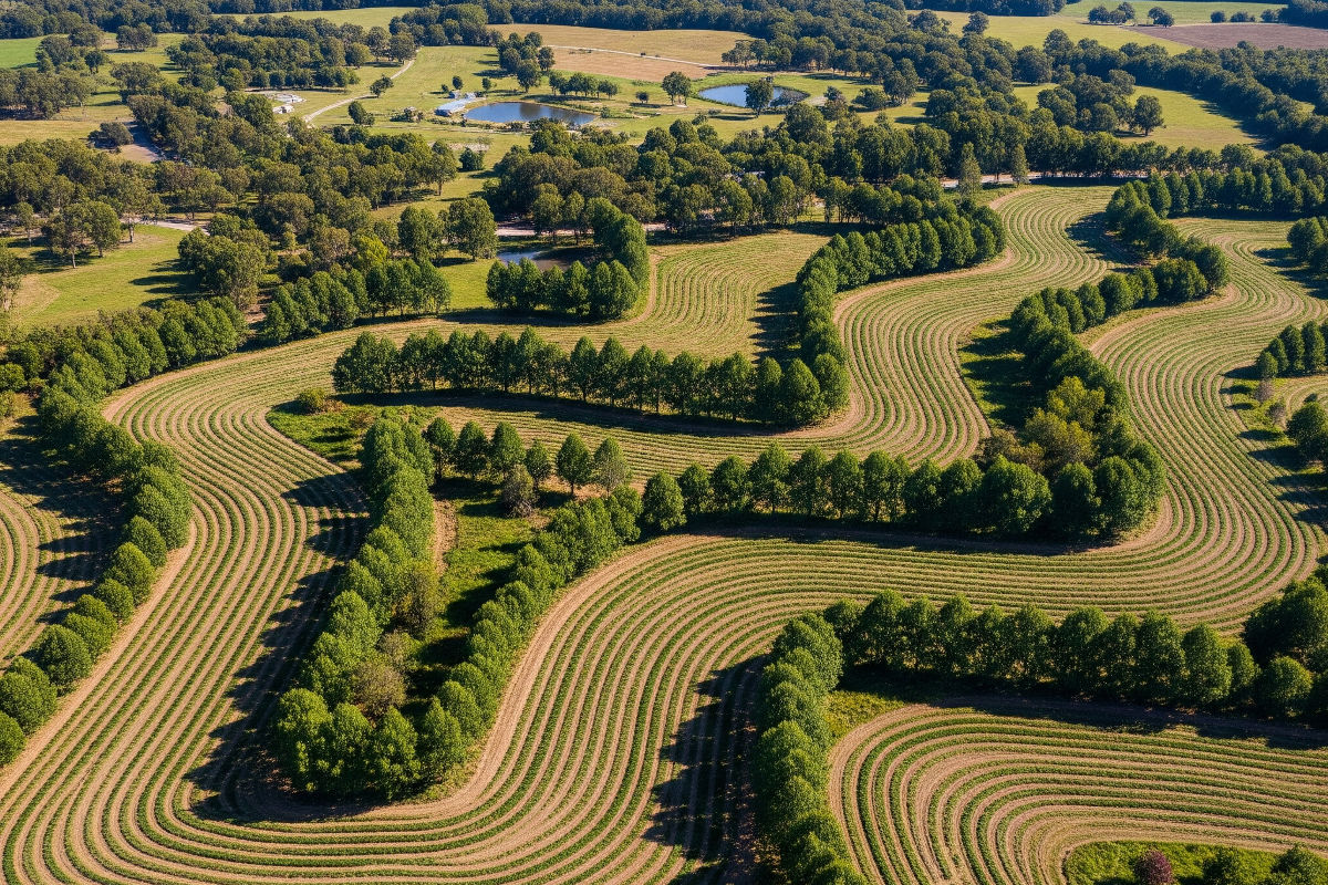 Agroforestry and Water Conservation: 7 Advantages